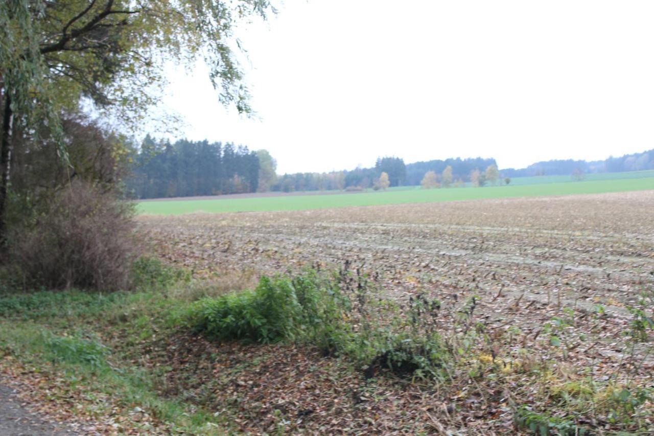 Zumseehoernchen Haus Schmetterling Tanna Exterior foto